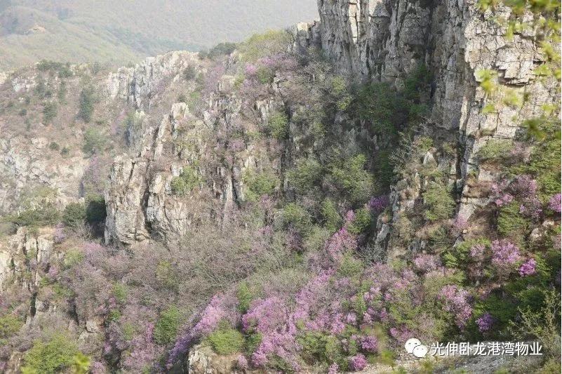 冰球突破-冰球电游豪华版_MG冰球游戏