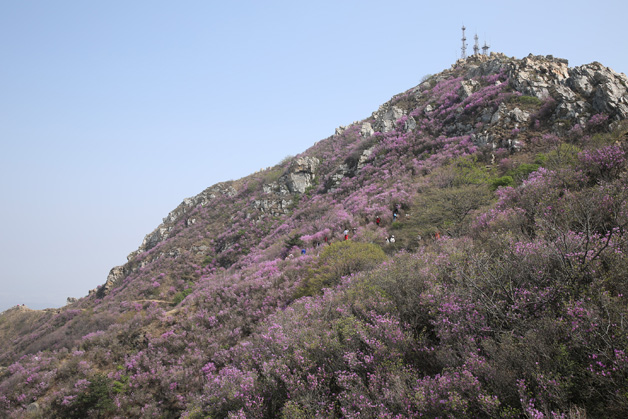 冰球突破-冰球电游豪华版_MG冰球游戏