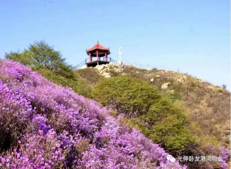 冰球突破-冰球电游豪华版_MG冰球游戏