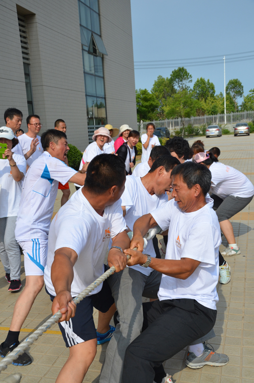 冰球突破-冰球电游豪华版_MG冰球游戏