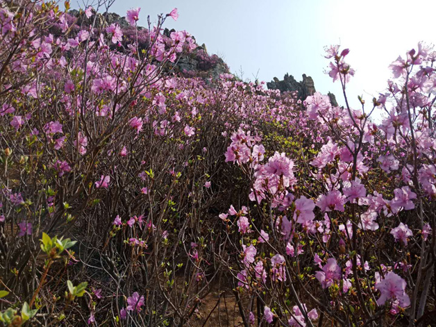 冰球突破-冰球电游豪华版_MG冰球游戏