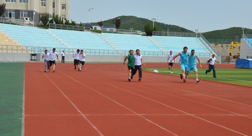 冰球突破-冰球电游豪华版_MG冰球游戏